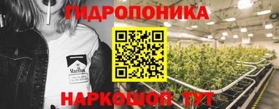 2c-b Будённовск