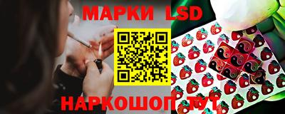 сатива Бузулук
