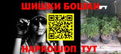 сатива Бузулук