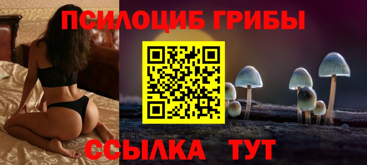 Псилоцибиновые грибы прущие грибы Свободный