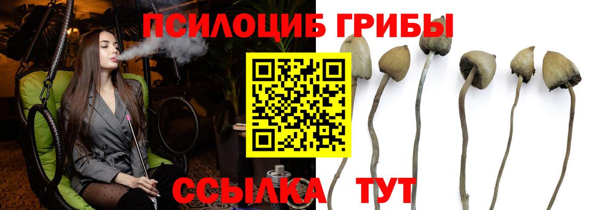 Свободный  Галлюциногенные грибы ЛСД  где купить наркоту  Галлюциногенные грибы GOLDEN TEACHER  Вход с VPN 